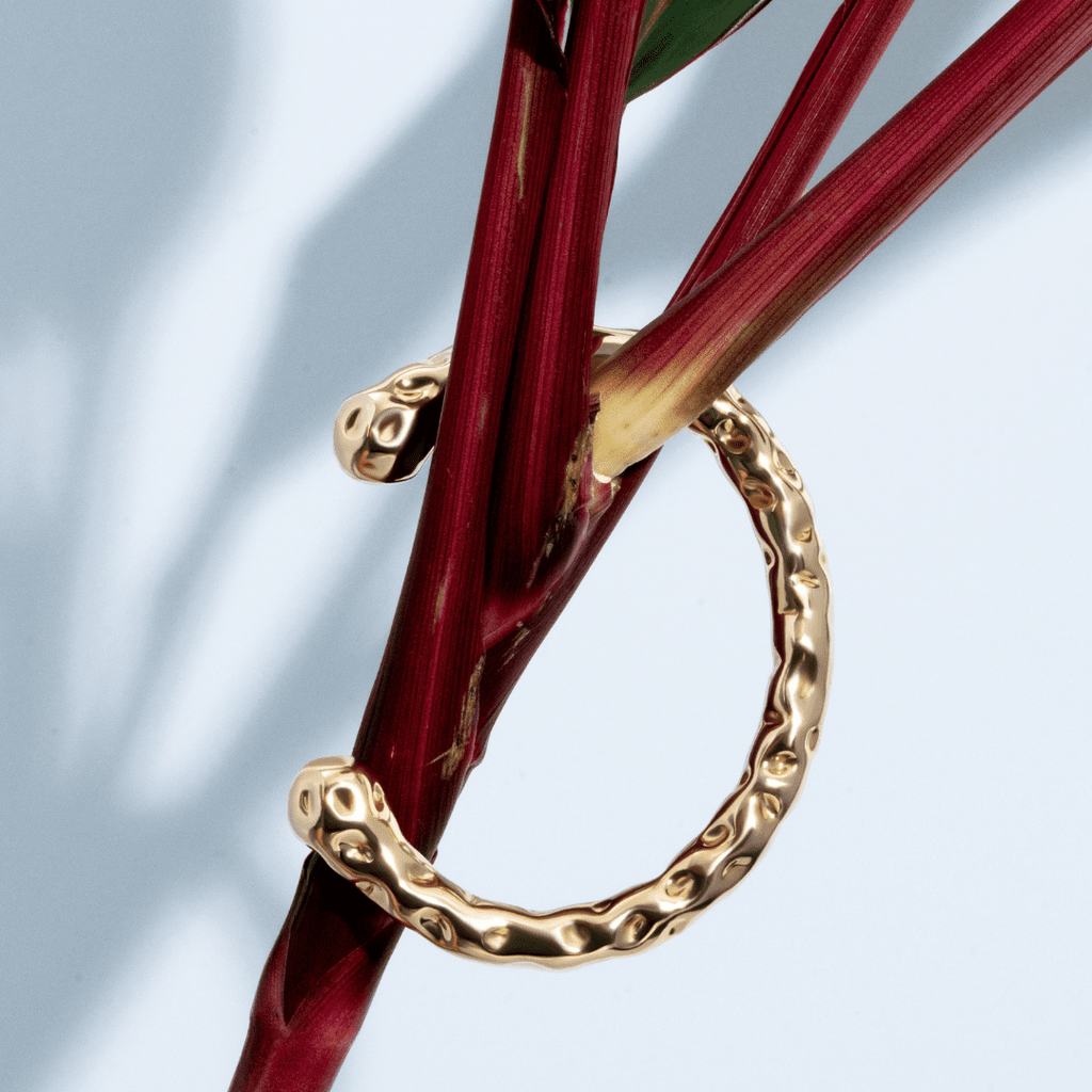 Collins Gold Bracelet - Alegant - Denise Pacini