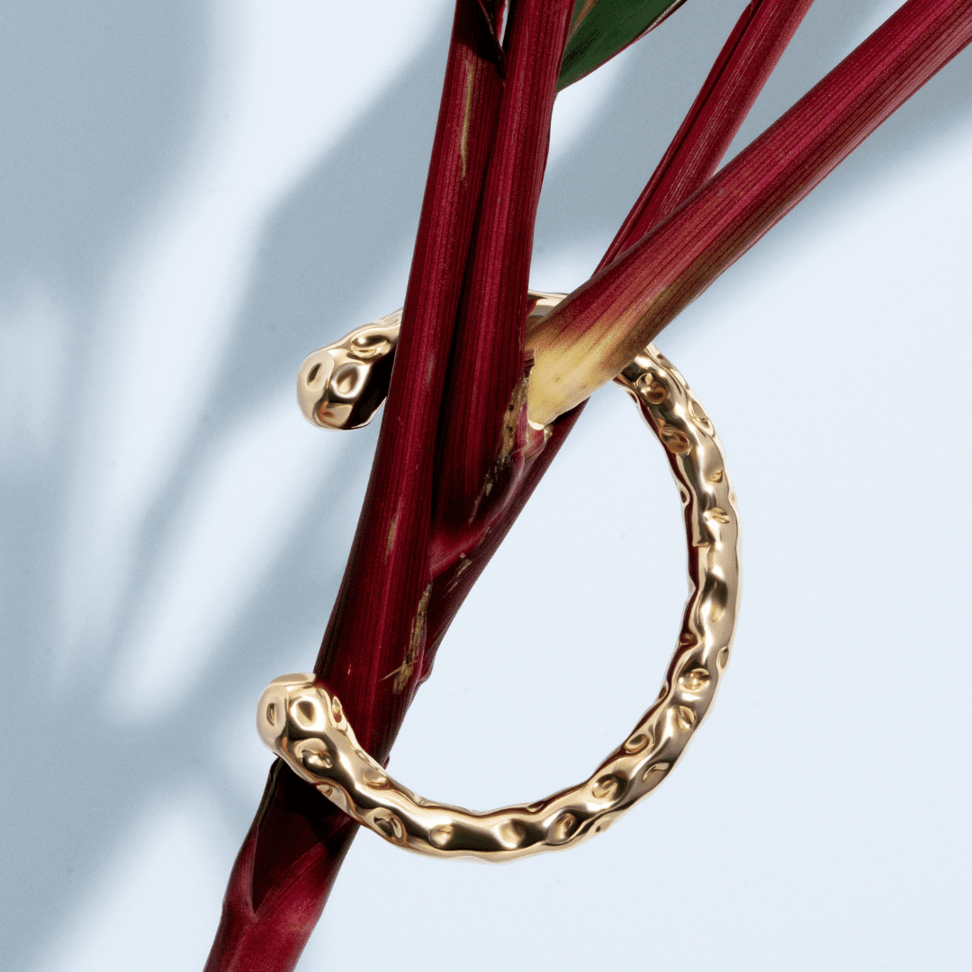 Collins Gold Bracelet - Alegant - Denise Pacini