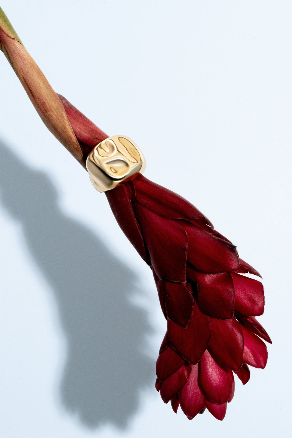 Sara Gold Ring - Alegant - Denise Pacini